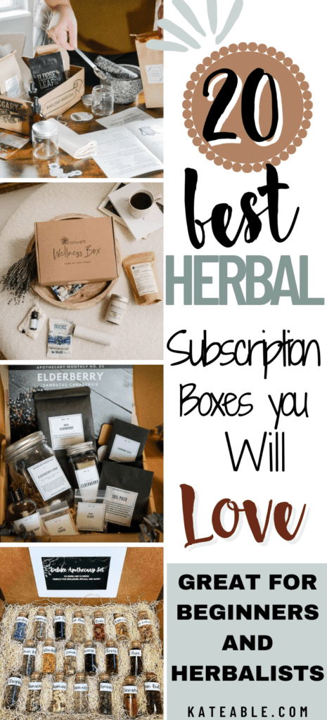 20 best herbal subscription boxes Pinterest Pin