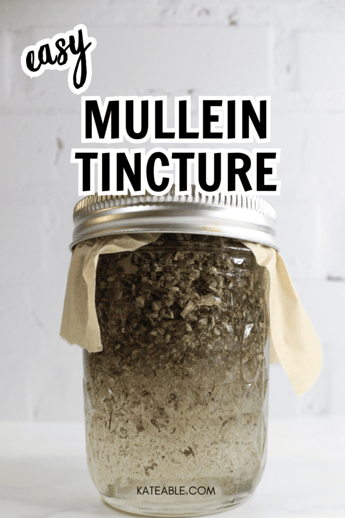 Mullein tincture pin image