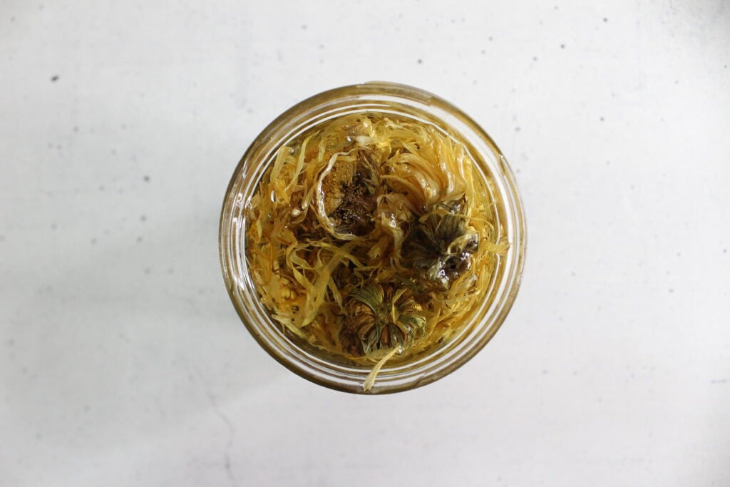 making the calendula infused oil 