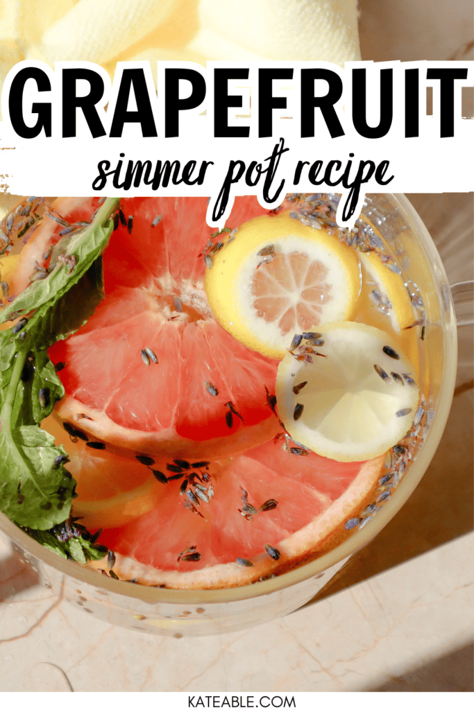 summer simmer pot pin image
