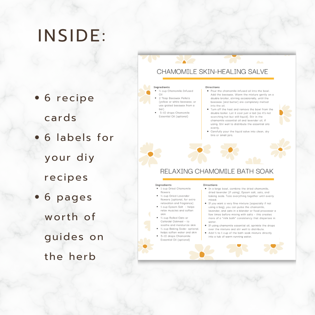 Chamomile Herbal Guide