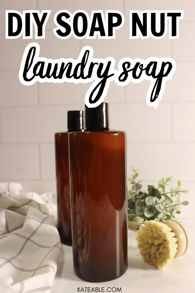 DIY soap nut laundry soap pin image