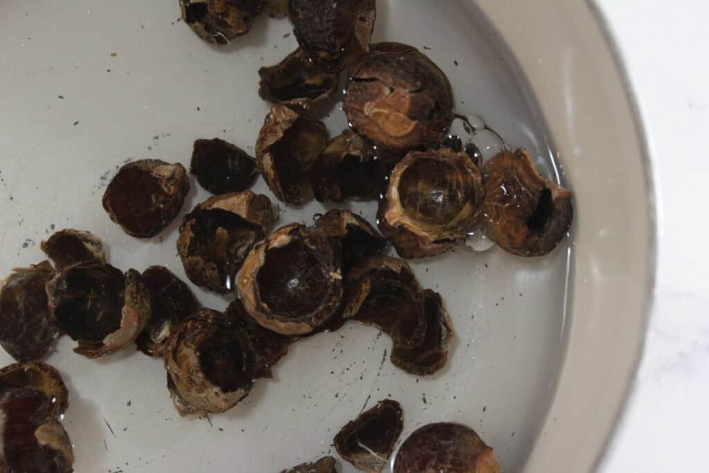 boiling the soap nuts