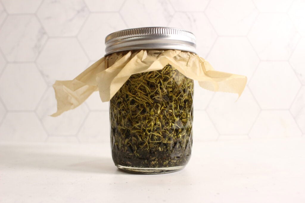 infusing the oil 