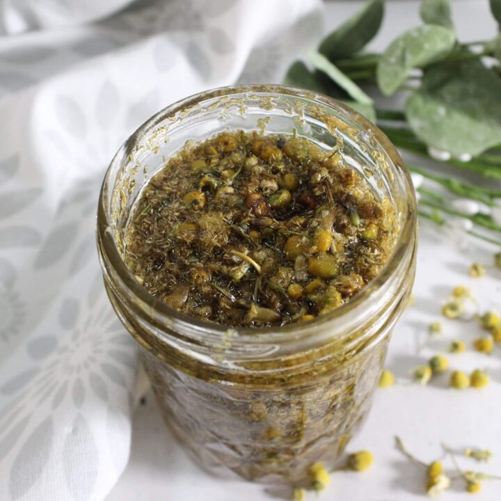 top of chamomile oil