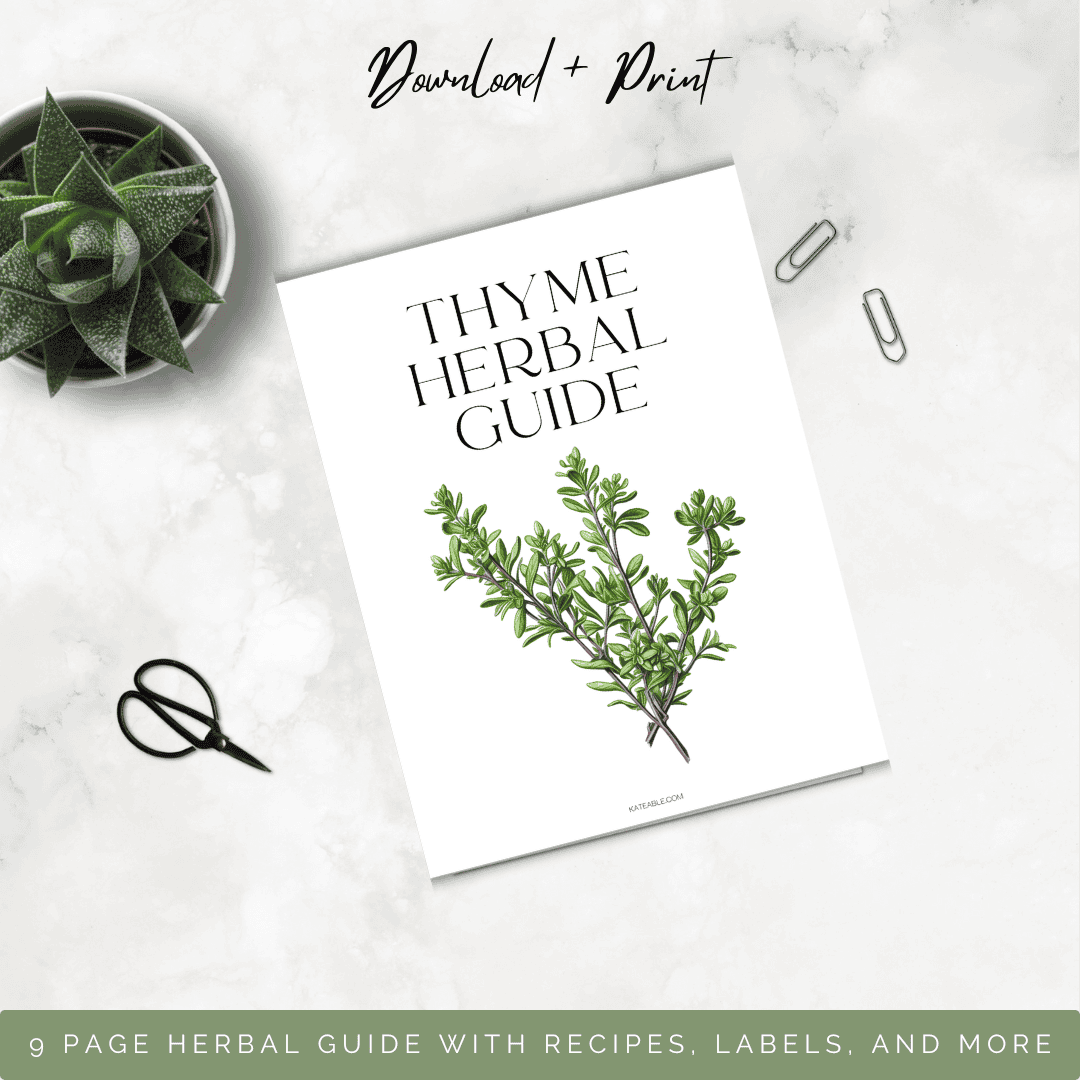 thyme guide