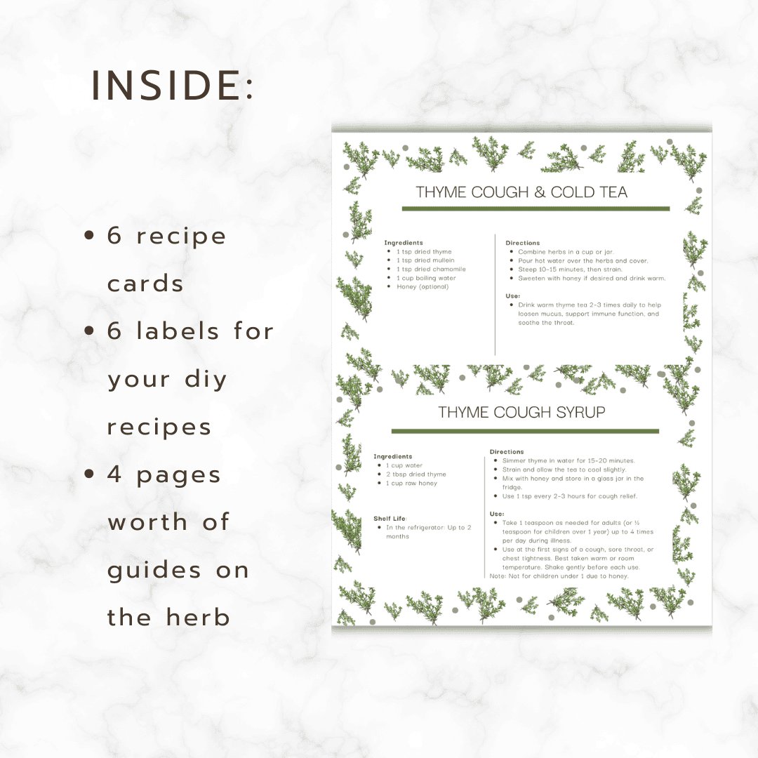 thyme guide