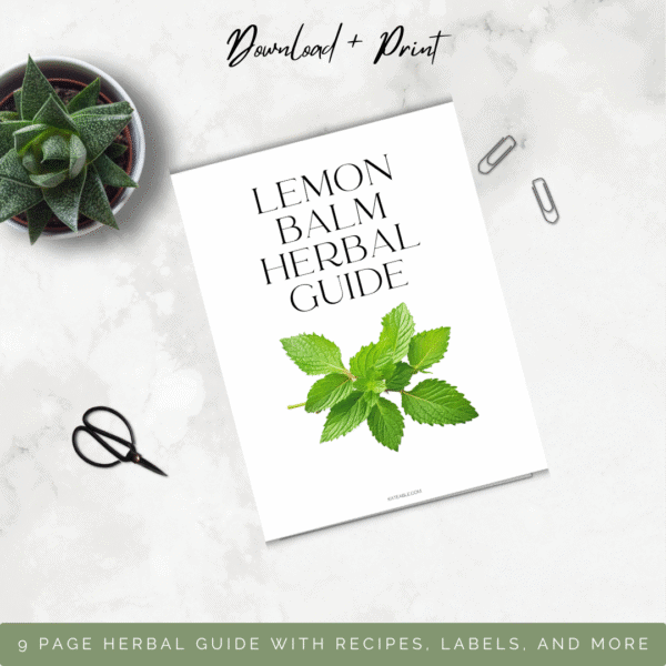Lemon balm guide
