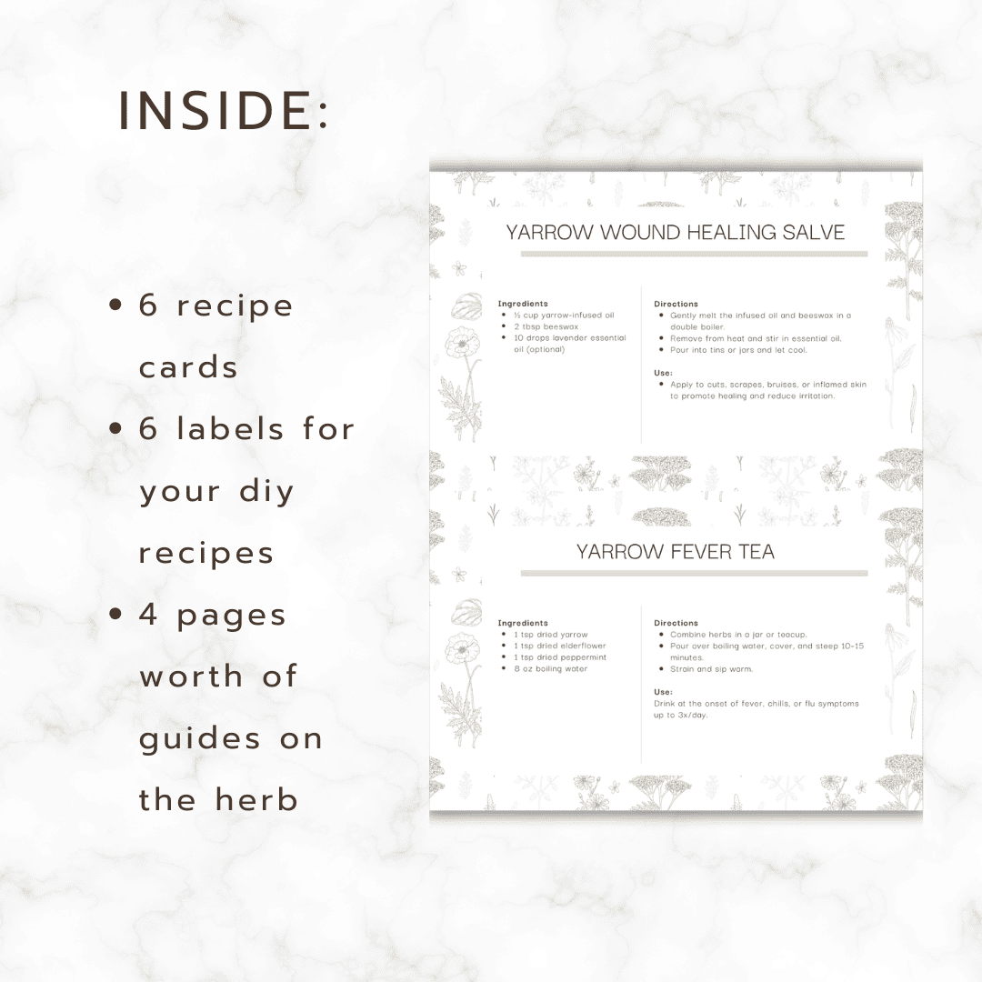 yarrow guide