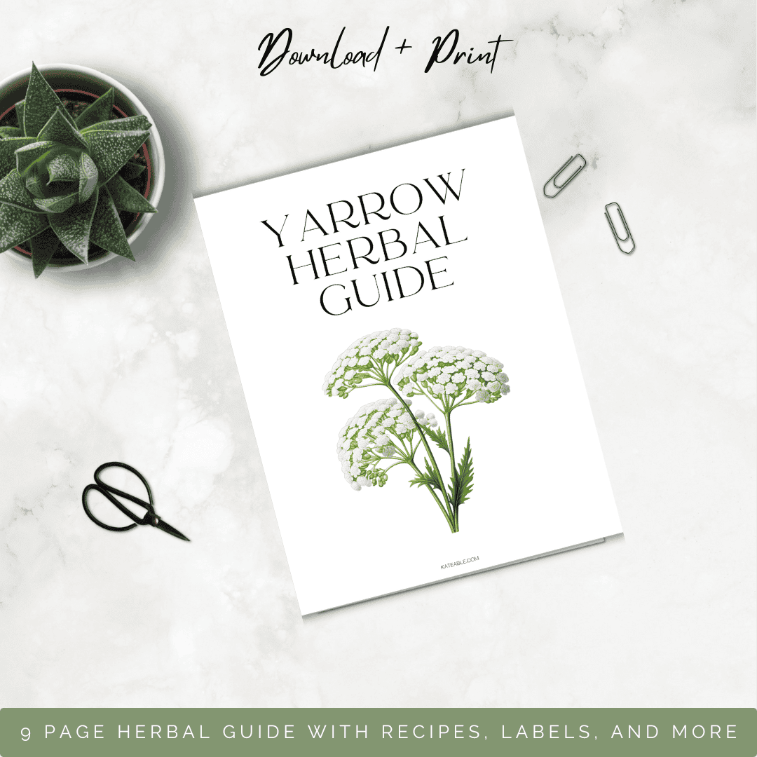 yarrow guide