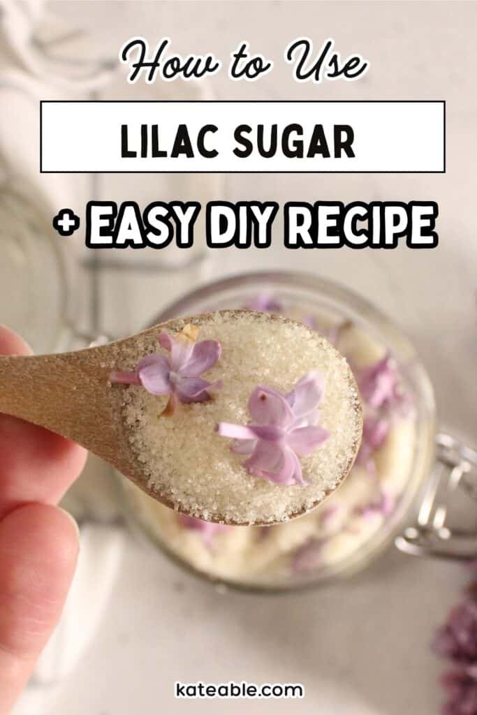 Lilac Sugar pin image.