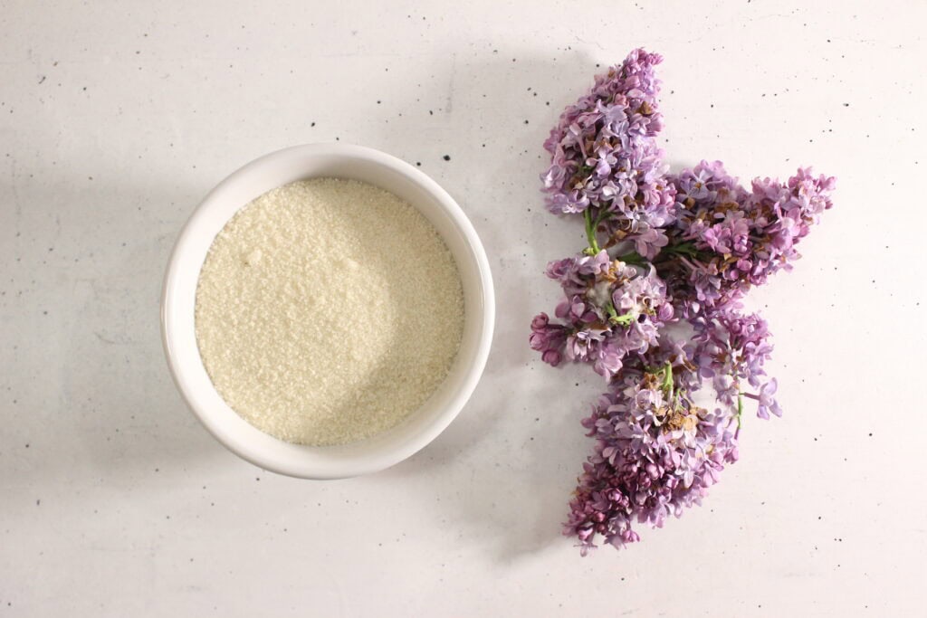 Lavender sugar in a bowl with fresh lavender flowers for homemade recipes.