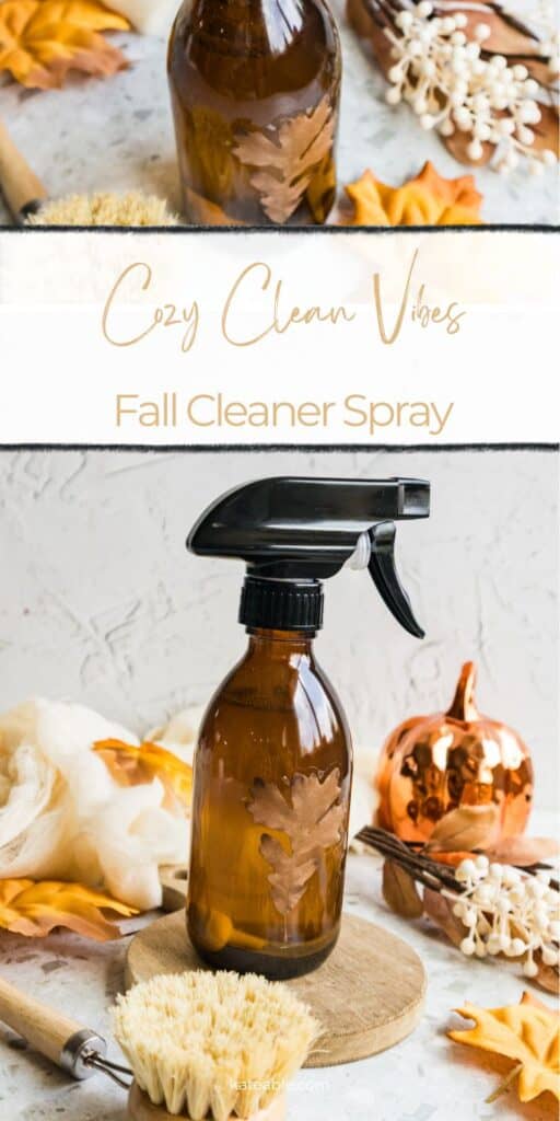 Fall Cleaner Spray pin image.
