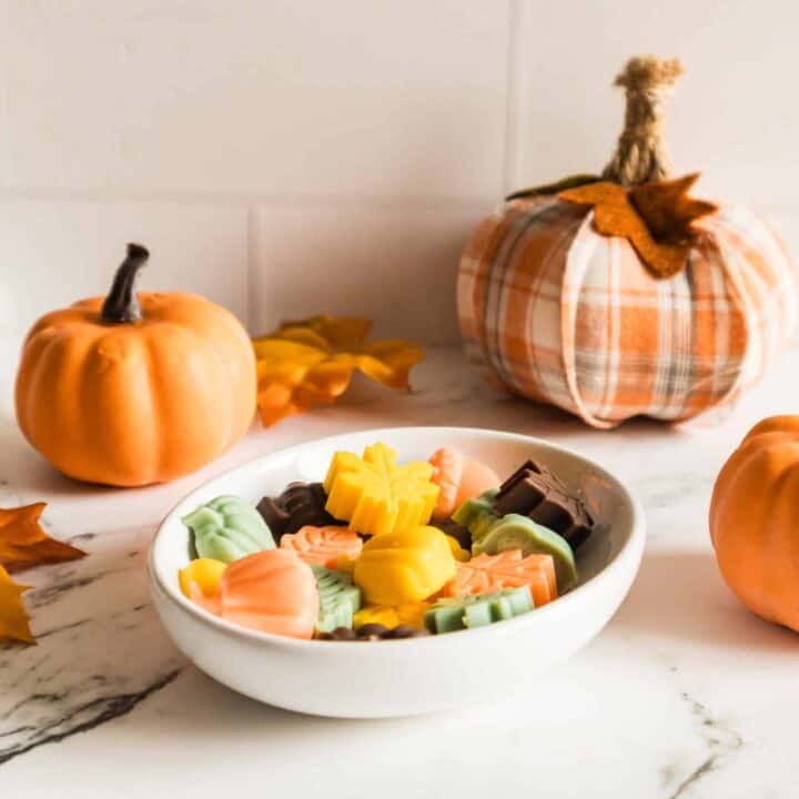 A bowl filled with colorful fall-shaped wax melts, surrounded by pumpkins and autumn leaves.