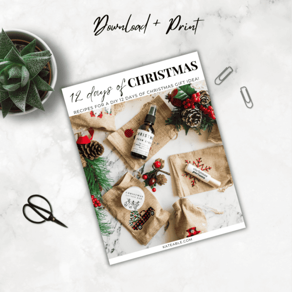 12 Days of Christmas: Recipes for a DIY Gift Advent Calendar product image