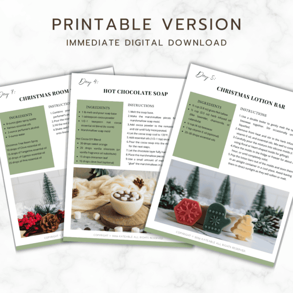 12 Days of Christmas: Recipes for a DIY Gift Advent Calendar product image